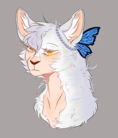 Bust